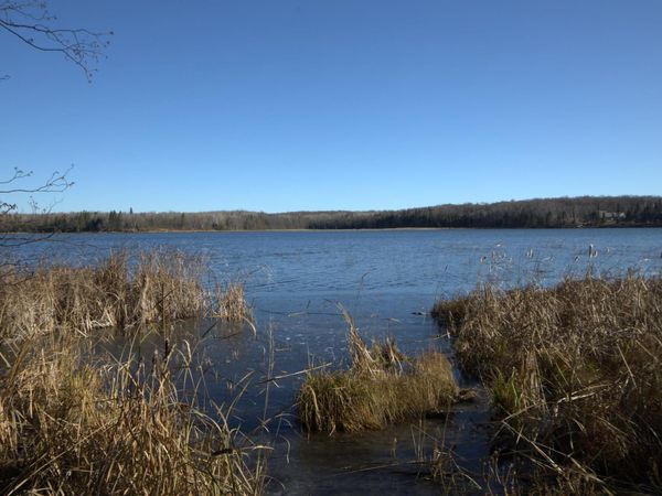 36363 County Highway 34 , Ogema, MN 56569