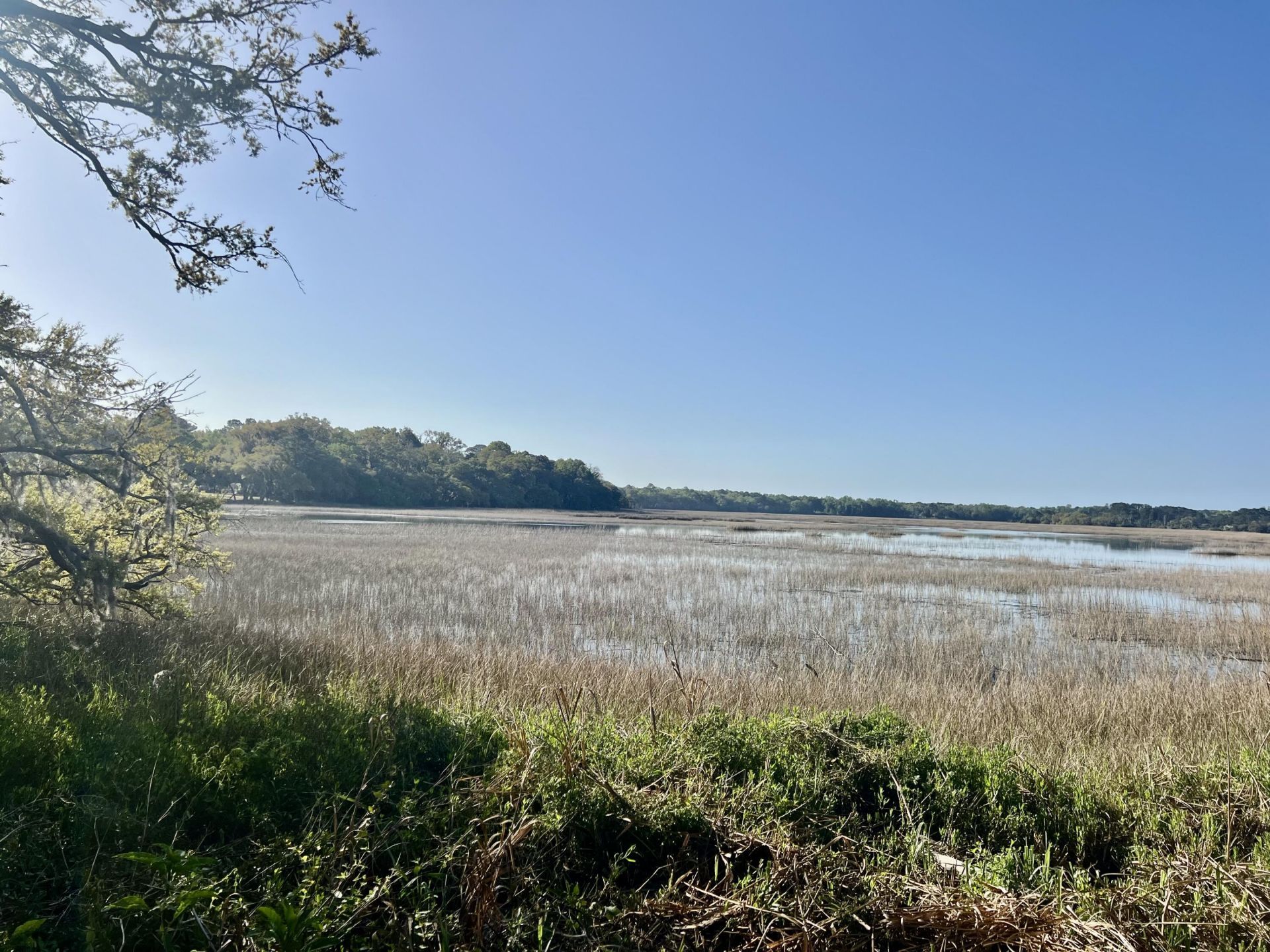 1716 Jasperstone Circle Photo 12