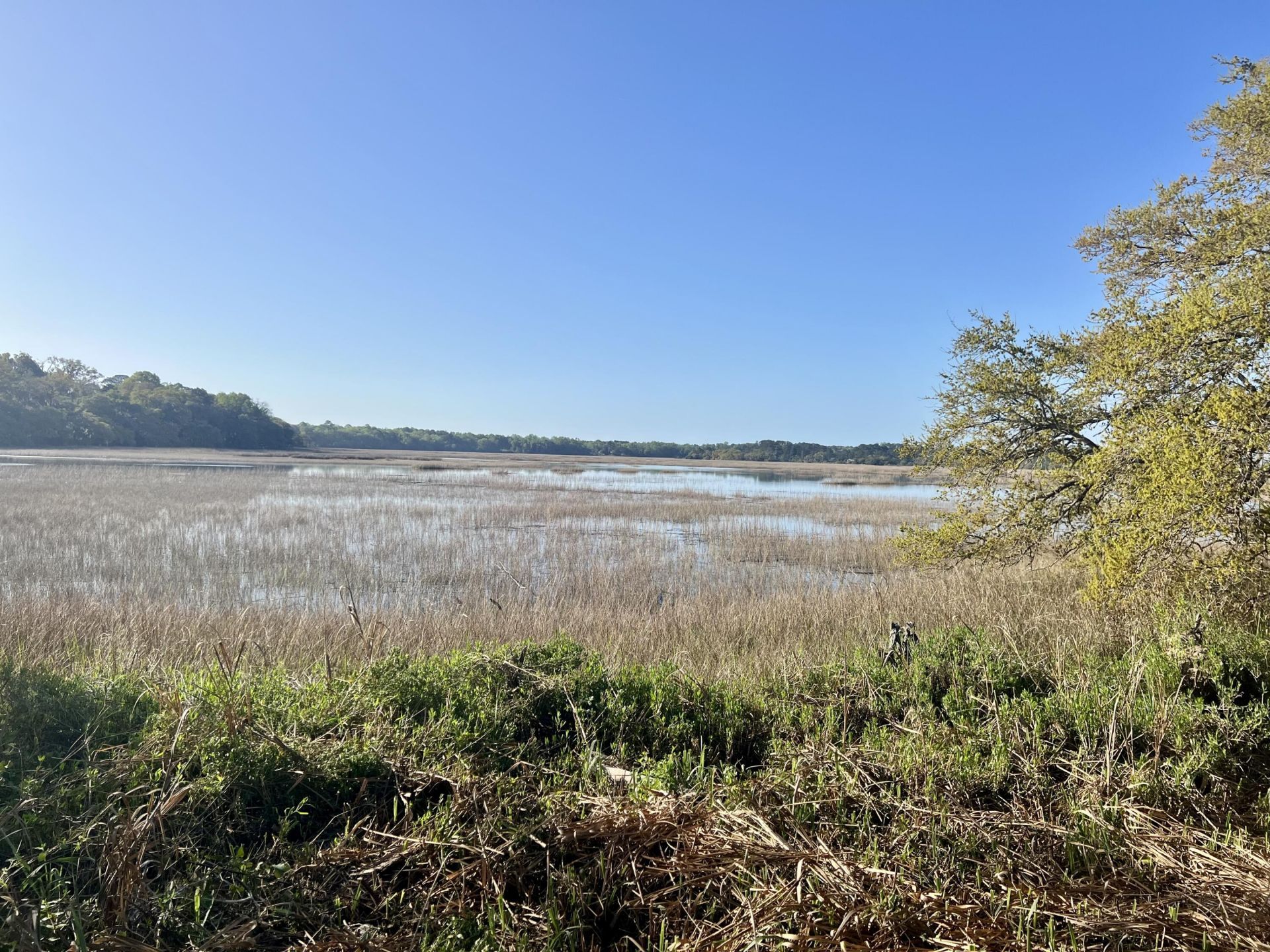 1716 Jasperstone Circle Photo 13