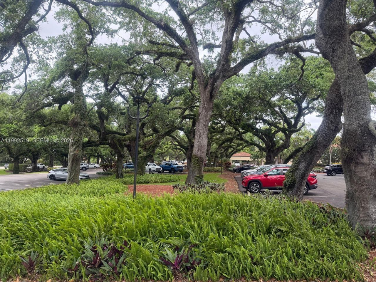 1709 Whitehall Dr , Unit 103, Davie, FL 33324 Photo