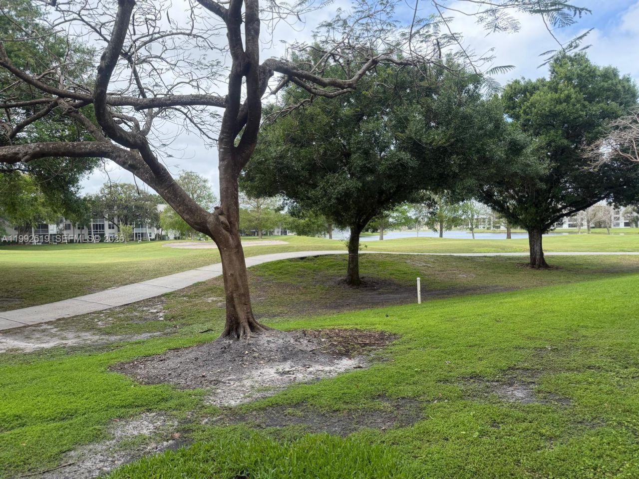 1709 Whitehall Dr , Unit 103, Davie, FL 33324 Photo