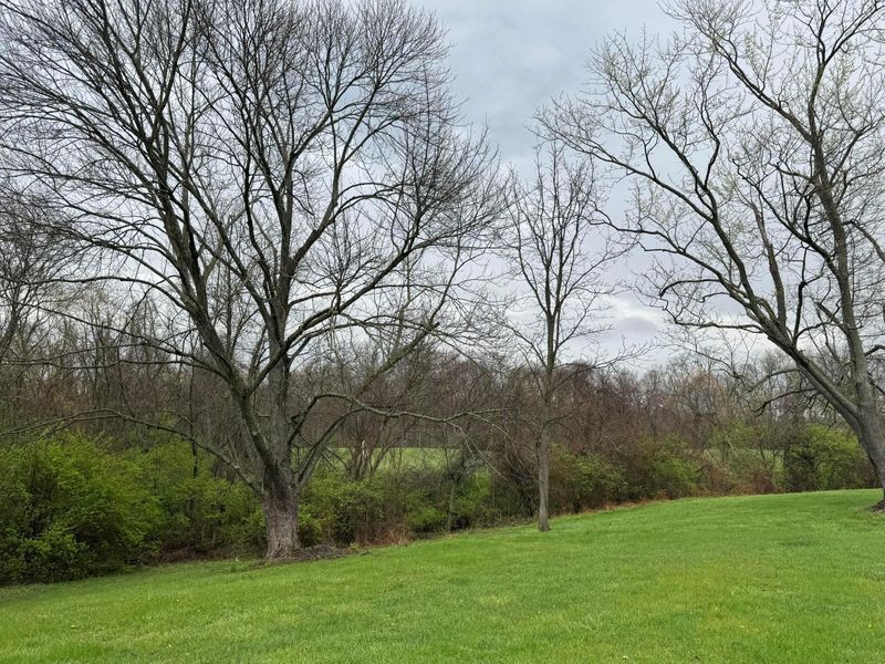 7478 U.S. 22, Circleville, OH 43113 Photo 12