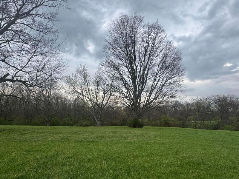 7478 U.S. 22 , Circleville, OH 43113 Photo 2