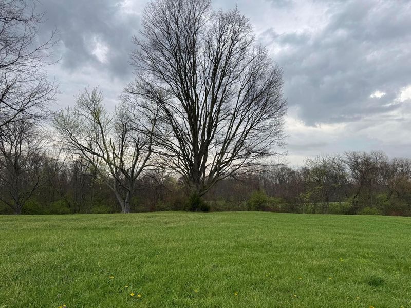 7478 U.S. 22, Circleville, OH 43113 Photo 7