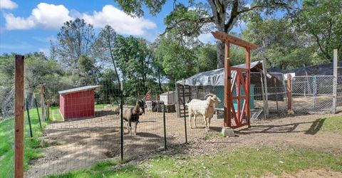 1581 Moccasin Trl, Placerville, CA 95667 Photo