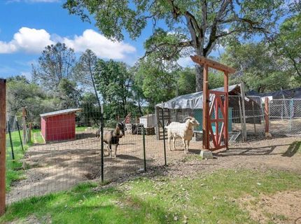 1581 Moccasin Trl, Placerville, CA 95667 Photo