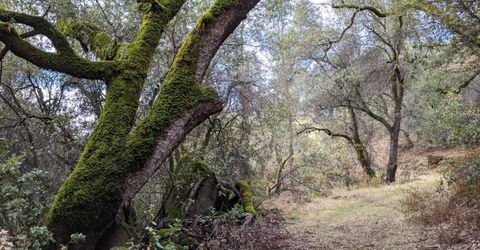 1581 Moccasin Trl, Placerville, CA 95667 Photo