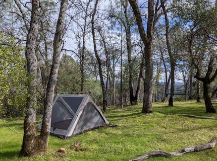 1581 Moccasin Trl, Placerville, CA 95667 Photo
