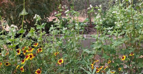 1581 Moccasin Trl, Placerville, CA 95667 Photo