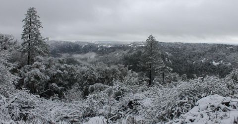 1581 Moccasin Trl, Placerville, CA 95667 Photo