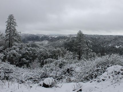 1581 Moccasin Trl, Placerville, CA 95667 Photo