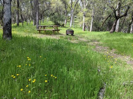 1581 Moccasin Trl, Placerville, CA 95667 Photo