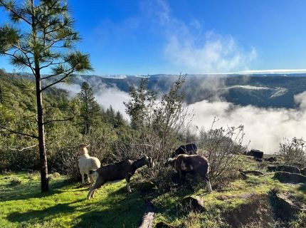 1581 Moccasin Trl, Placerville, CA 95667 Photo