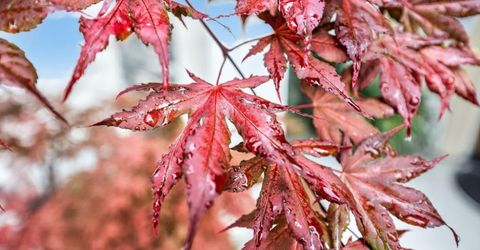 5953 Tanus Cir, Rocklin, CA 95677 Photo