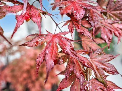 5953 Tanus Cir, Rocklin, CA 95677 Photo