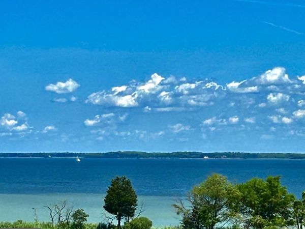 111 MARSHGRASS WAY, Unit 43, CHESTER, MD 21619