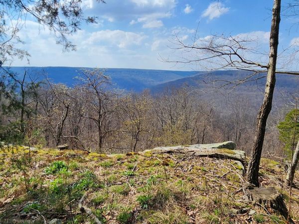 0 Roth Point Road , Altamont, TN 37301