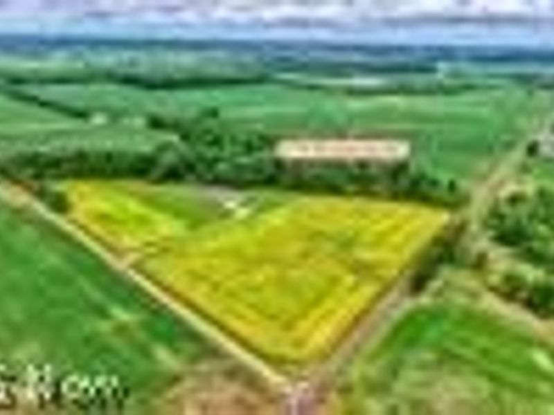 4718 Brushwood Road, Wakeman, OH 44889 Photo 3