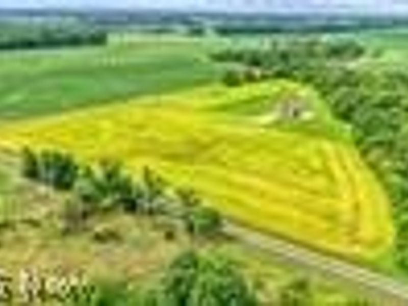 4718 Brushwood Road, Wakeman, OH 44889 Photo 49