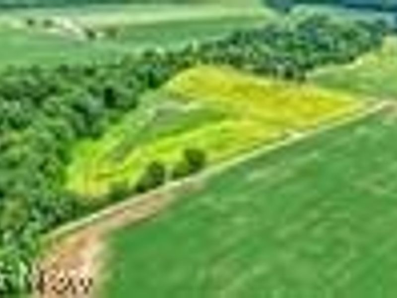 4718 Brushwood Road, Wakeman, OH 44889 Photo 50