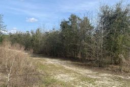 0 Sea Ray Lane  photo 4