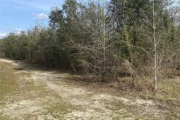 0 Sea Ray Lane  photo 4