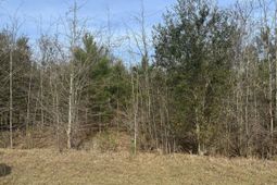 0 Sea Ray Lane  photo 4