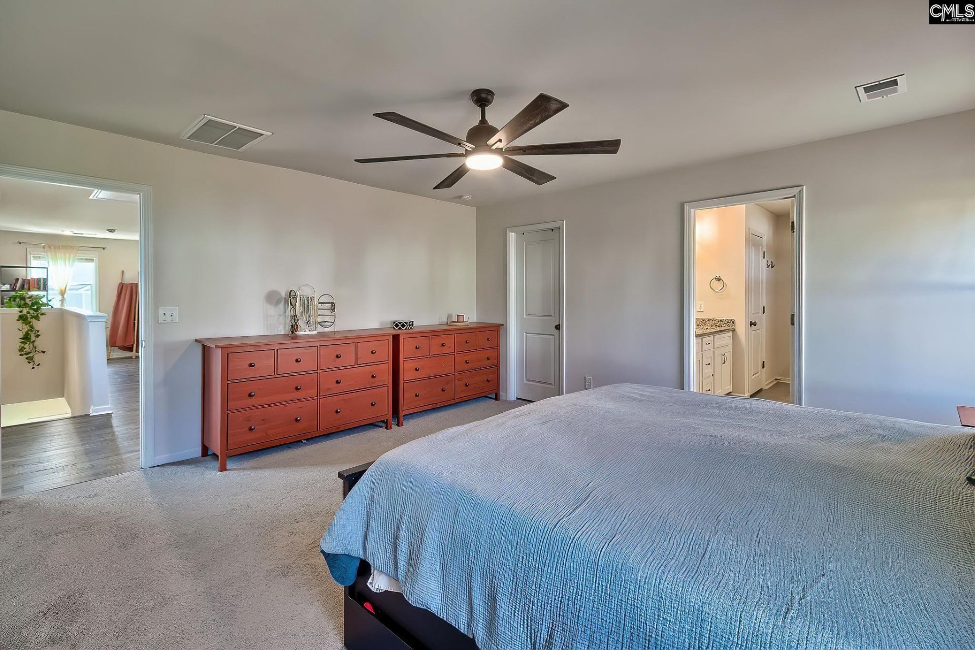 227 Savannah Wood Road Photo 19