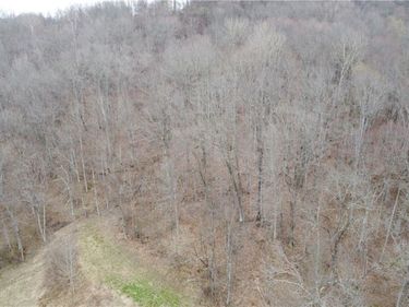 39460 Opossum Creek Road, Sardis, OH 43946