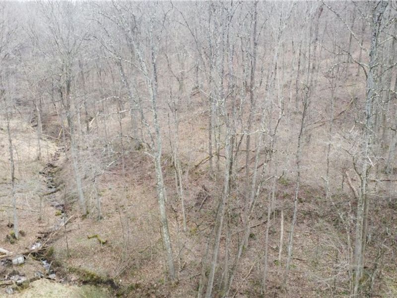 39460 Opossum Creek Road, Sardis, OH 43946 Photo 10