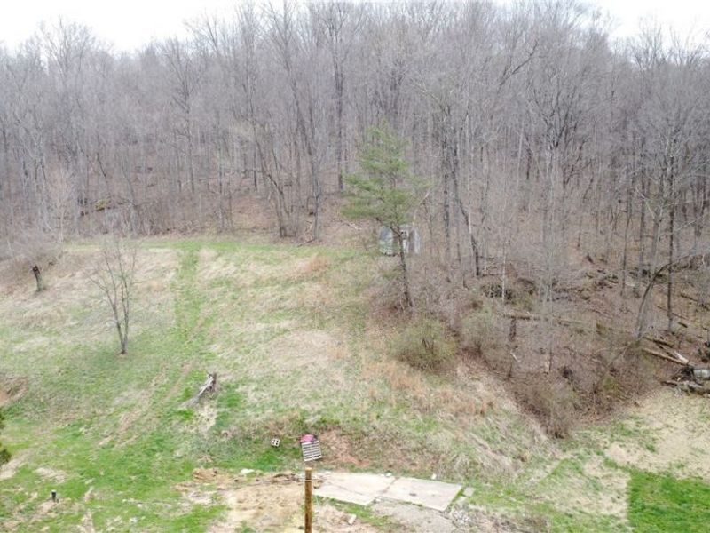 39460 Opossum Creek Road, Sardis, OH 43946 Photo 4