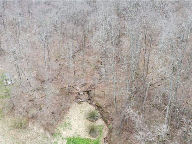 39460 Opossum Creek Road, Sardis, OH 43946 Photo 6