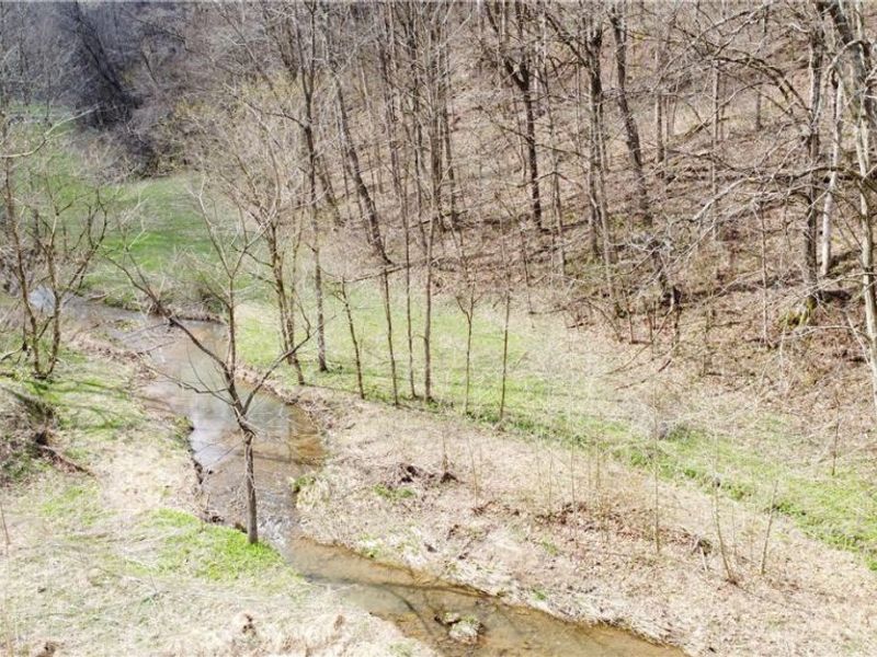 39460 Opossum Creek Road, Sardis, OH 43946 Photo 8