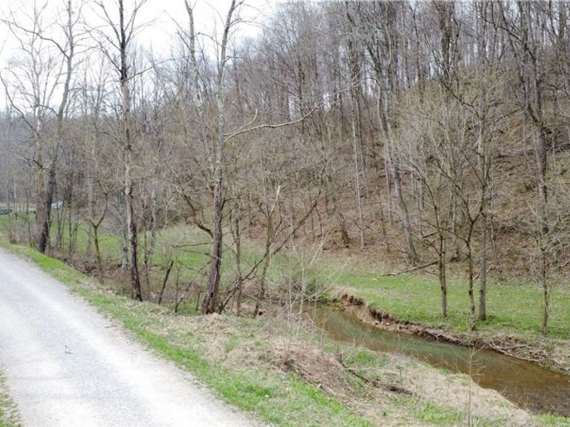 39460 Opossum Creek Road, Sardis, OH 43946 Photo 9