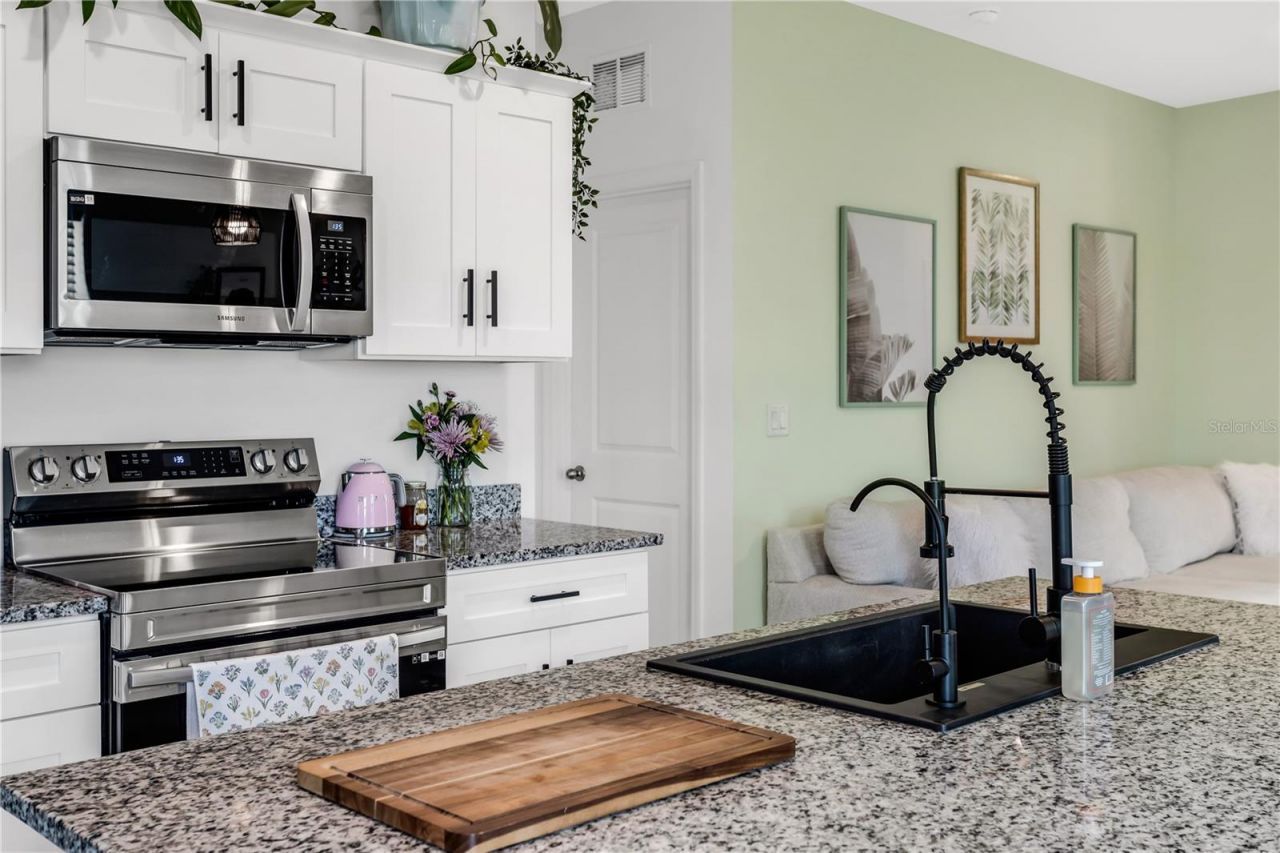 10459 Ladybug Cove , Parrish, FL 34219 Photo