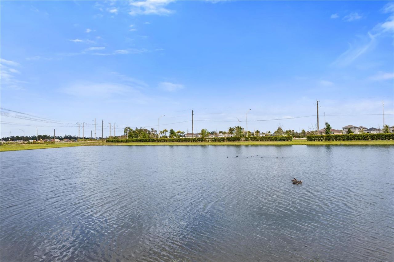 10459 Ladybug Cove , Parrish, FL 34219 Photo