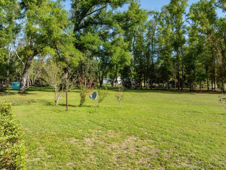 344 NE Candy Lane, Mayo, FL 32066