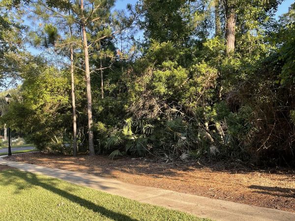 LOT 318 Charleston Way, St. Marys, GA 31558