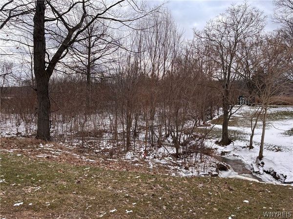 Ridge Road, Lewiston, NY 14092