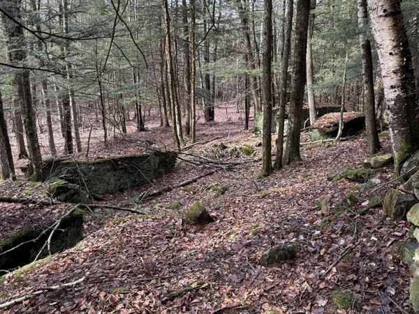 0 Becker Road, Gilboa, NY 12122