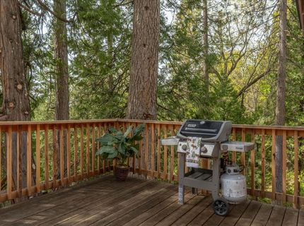 1856 Anna Lee Way, Arnold, CA 95223 Photo