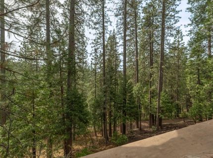 1856 Anna Lee Way, Arnold, CA 95223 Photo