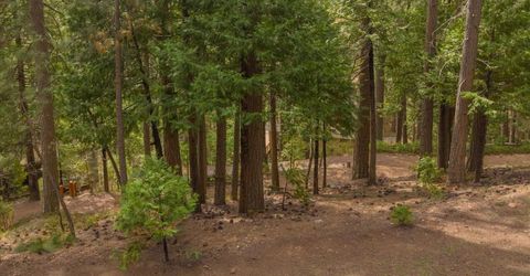 1856 Anna Lee Way, Arnold, CA 95223 Photo