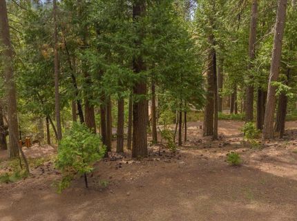 1856 Anna Lee Way, Arnold, CA 95223 Photo