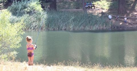 1856 Anna Lee Way, Arnold, CA 95223 Photo