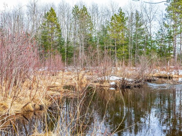 Makinen Road, Kaleva, MI 49645