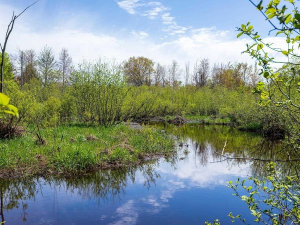 Makinen Road, Kaleva, MI 49645