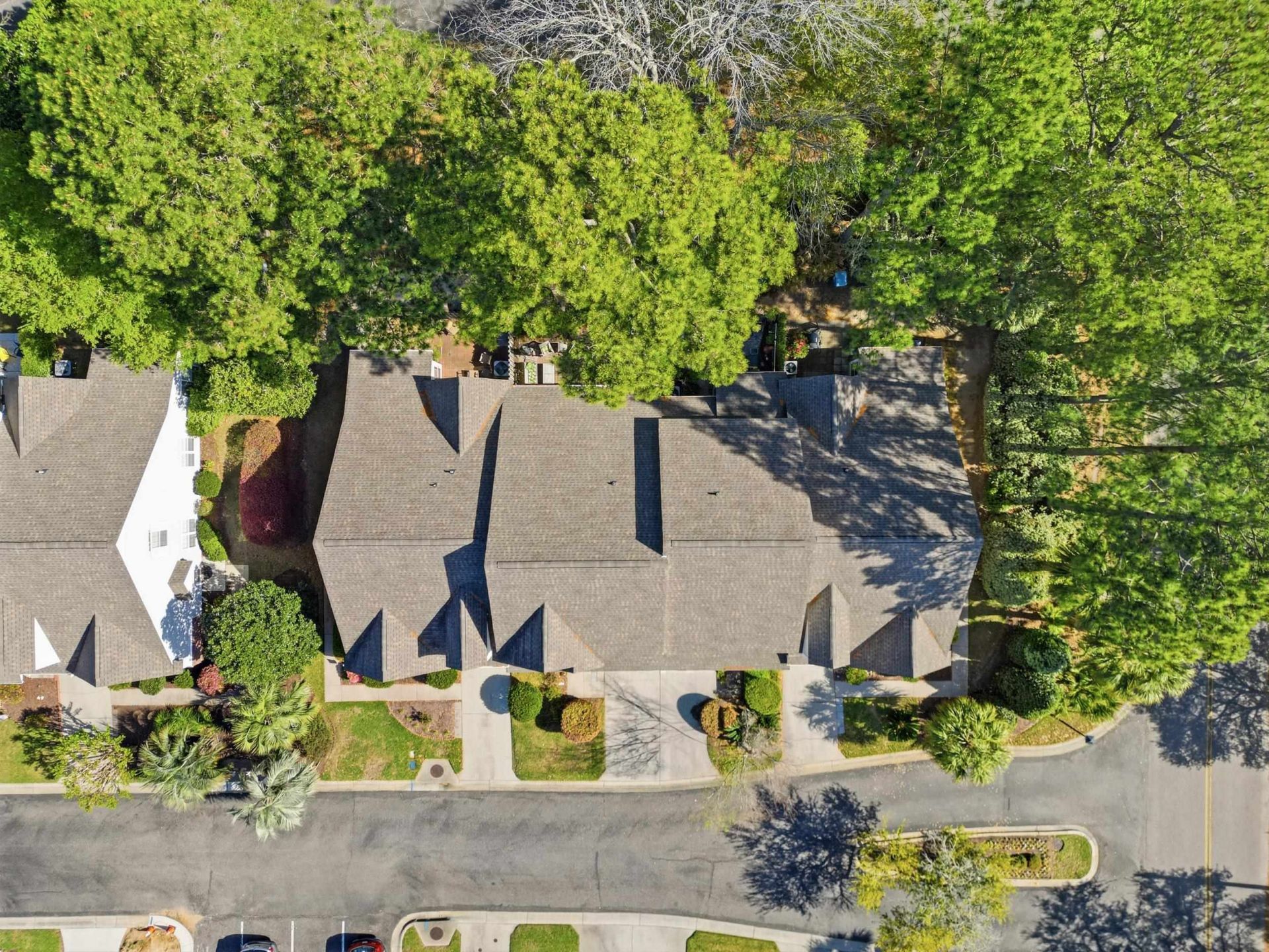 14 Pawleys Place Dr. Photo 42