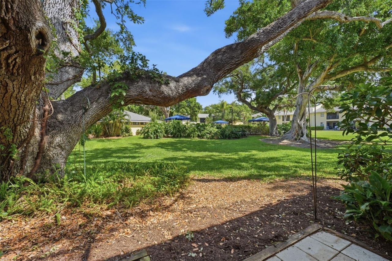 3001 58th Avenue S, Unit 1015, Saint Petersburg, FL 33712 Photo