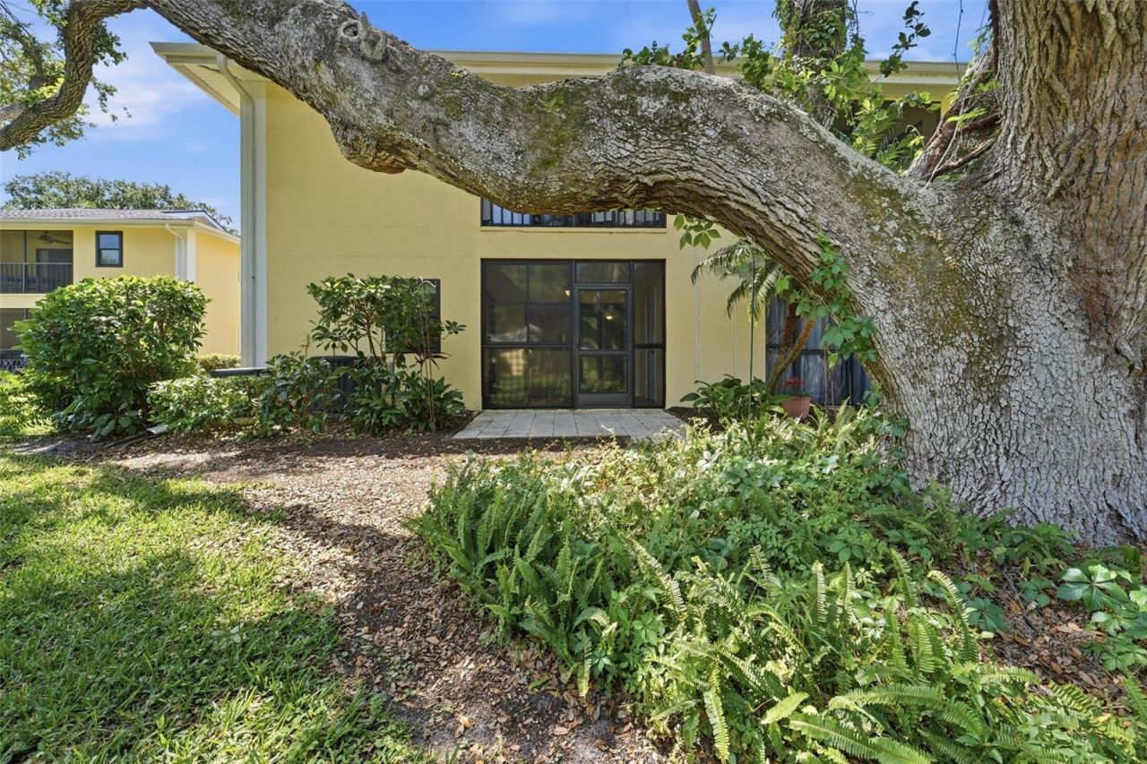 3001 58th Avenue S, Unit 1015, Saint Petersburg, FL 33712 Photo